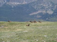 Rocky Mountains National Park: 