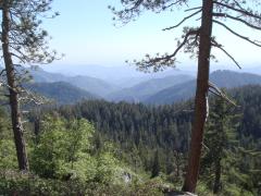 Sequoia National Park: 