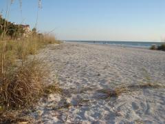 Clearwater: Clearwater's beach.