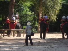 The ever-popular elephant riding