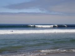A few surfers enjoying the waves.