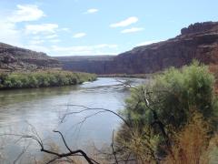Canyonlands National Park: Slowly moving Colorado River