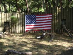 Homosassa Springs Wildlife State (Homosassa Springs): The national symbol, the bald eagle, in front of the American flag.